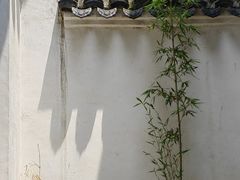 -月栖华明-云间草堂清茶馆(泗泾古镇店)