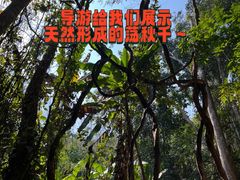 -西双版纳基诺山寨