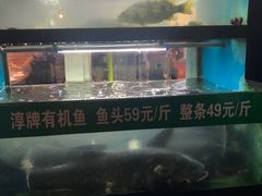 -好灶头妈妈菜·柴火灶台鱼·千岛湖土菜地标美食
