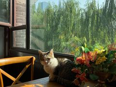 -IFIF 如果花園(宽厚里店)