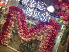 -一笼小幸运