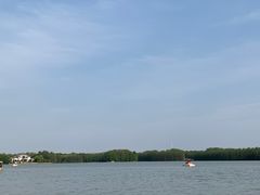 -上海海湾国家森林公园