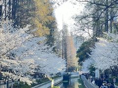 -鸡鸣寺