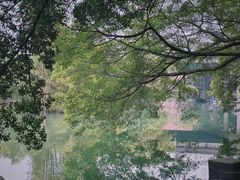-小洲村
