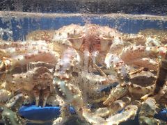 -徐记海鲜(陕西历史博物馆|明德门店)