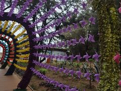 -北海金海湾红树林生态旅游区