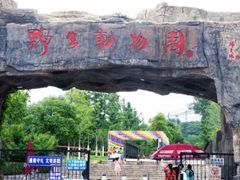 -合肥野生动物园