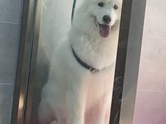 -宠福鑫康馨动物医院·骨科·眼科