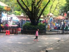 -晓港公园