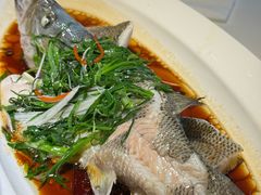 -院里寻菜·精致庭院菜(观沙岭店)