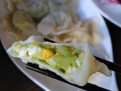黄瓜素水饺-船歌鱼水饺(高新园区店)
