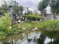 -武汉动物园
