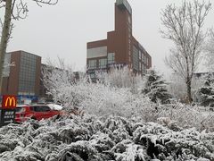 -瑞思英语·少儿英语启蒙(河西·梅江第六田园校区)