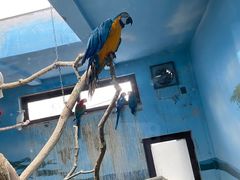 -济南野生动物世界