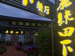 -蘑统田下·野生菌火锅