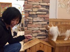 -猫的茶·猫咖