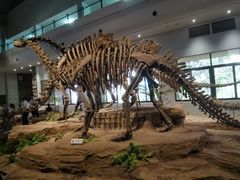 -自贡恐龙博物馆