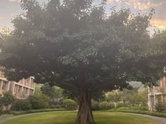 -厦门国家会计学院