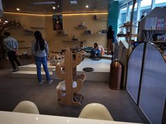 -飞行喵MR PILOT|猫舍·猫咖(静安大融城店)