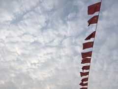 -淄博花灯齐彩城