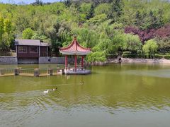 -北岭山森林公园