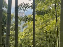 -莫干山风景区
