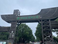 -溱湖国家湿地公园