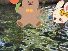 -西安国际创新人才交流中心•药浴温泉