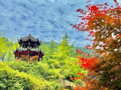 -梭布垭石林景区