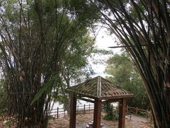 -福建鲤鱼洲酒店