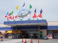 -海鮮寿司とれとれ市場