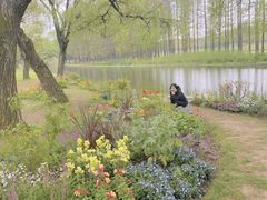 -上海共青森林公园