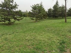 -洨河生态公园