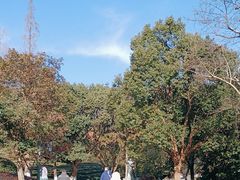 -敬亭山风景名胜区