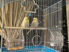 -时光花园(白鹭洲店)