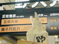 -野人先生Gelato(上海长宁龙之梦店)