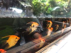 -宁波海洋世界-售票处