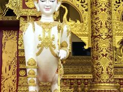 -西双版纳勐泐文化旅游区