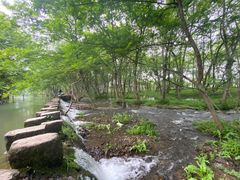 -诗莉莉·厚德堂私房菜