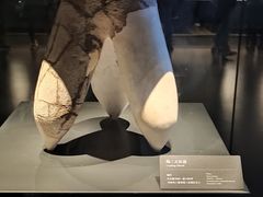 -三星堆博物馆
