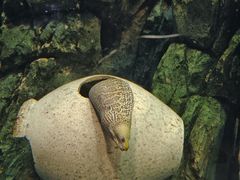 -珠海长隆海洋王国
