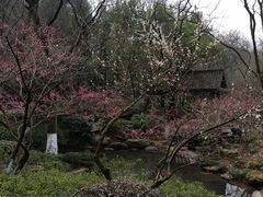 -杭州半山国家森林公园