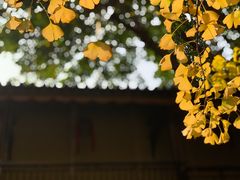 -钦善斋(武侯祠店)