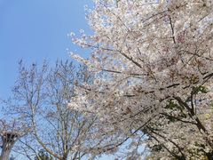 -玉山公园