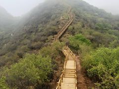 -大岭沟猕猴桃谷风景区