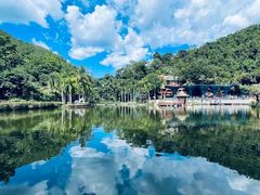 -西双版纳原始森林公园