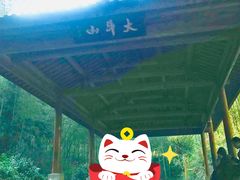 -龙坞茶村