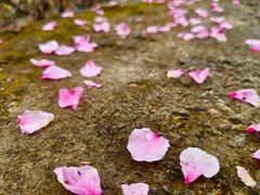 -楠溪江风景名胜区