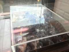 -奥斯特牛排馆(圣母百花大教堂)