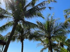 -三亚海棠湾万丽度假酒店